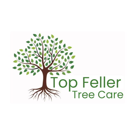 Top Feller Tree Care Icon 01 Medium