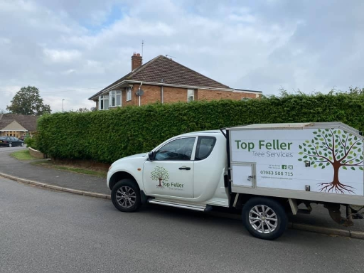 Tree Surgeon Wellingborough 02 Medium