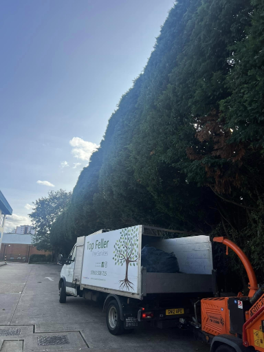 Tree Surgeon Wellingborough 04 Medium