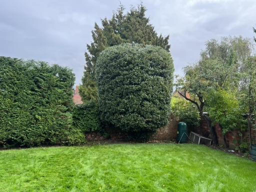 Tree Surgeon Wellingborough 10 Medium