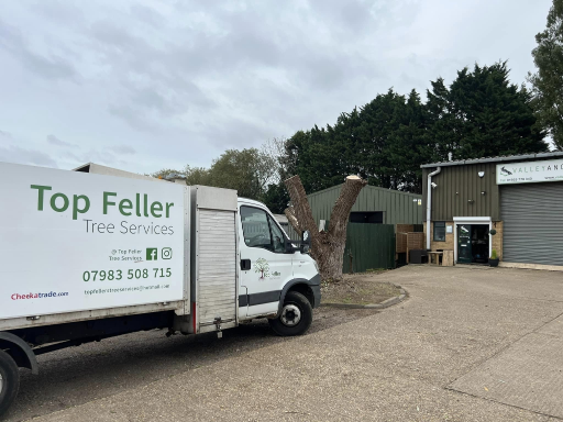 Tree Surgeon Wellingborough 12 Medium