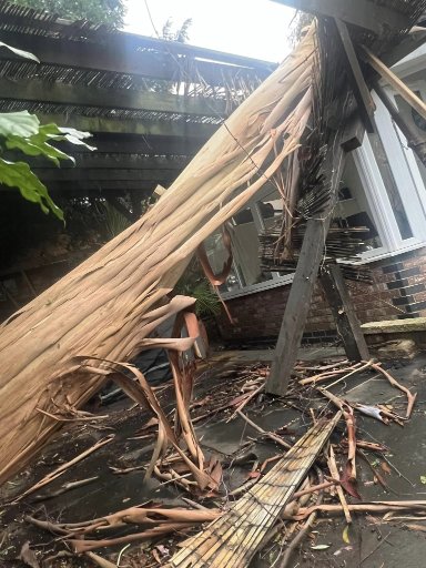 Tree Surgeon Wellingborough 22 Medium